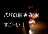 子供花火 ②「パパの線香花火 すごい！」