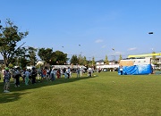 No3