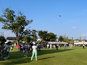 No4